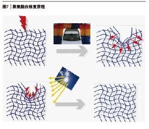 圖7 聚氫酯自修復(fù)原理