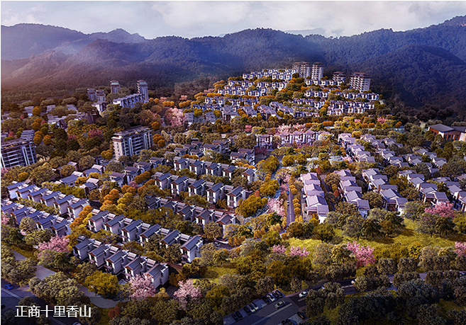 image006.png image006.png